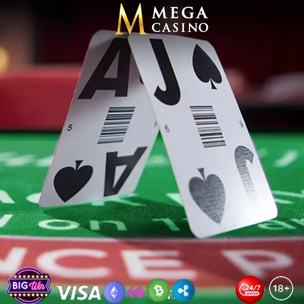Understanding the Mega Casino Ecosystem